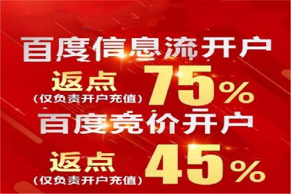 百度推广返点策略：案例解析与优化